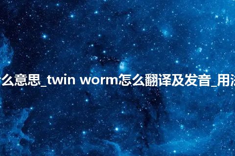 twin worm是什么意思_twin worm怎么翻译及发音_用法_例句_英语短语