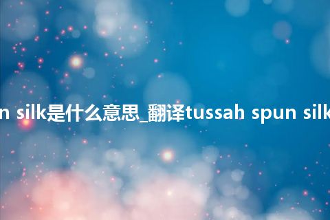 tussah spun silk是什么意思_翻译tussah spun silk的意思_用法