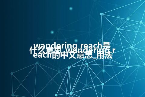 wandering reach是什么意思_wandering reach的中文意思_用法