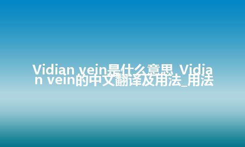 Vidian vein是什么意思_Vidian vein的中文翻译及用法_用法