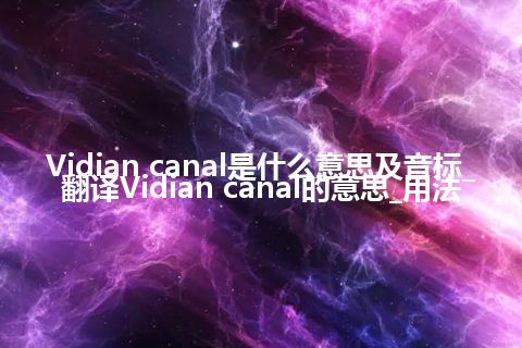 Vidian canal是什么意思及音标_翻译Vidian canal的意思_用法