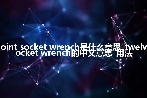 twelve point socket wrench是什么意思_twelve point socket wrench的中文意思_用法