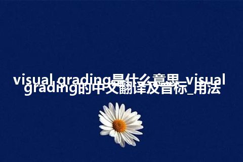 visual grading是什么意思_visual grading的中文翻译及音标_用法