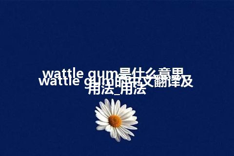 wattle gum是什么意思_wattle gum的中文翻译及用法_用法