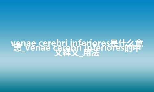 venae cerebri inferiores是什么意思_venae cerebri inferiores的中文释义_用法