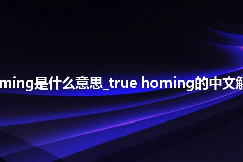 true homing是什么意思_true homing的中文解释_用法