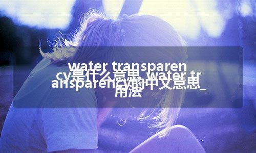 water transparency是什么意思_water transparency的中文意思_用法
