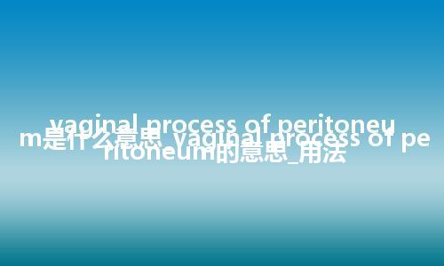 vaginal process of peritoneum是什么意思_vaginal process of peritoneum的意思_用法
