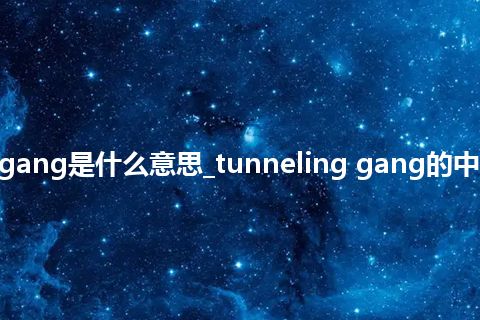 tunneling gang是什么意思_tunneling gang的中文释义_用法
