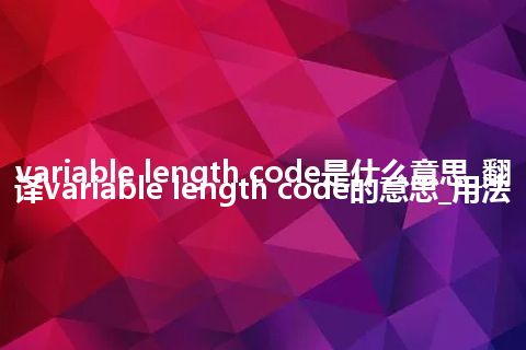 variable length code是什么意思_翻译variable length code的意思_用法