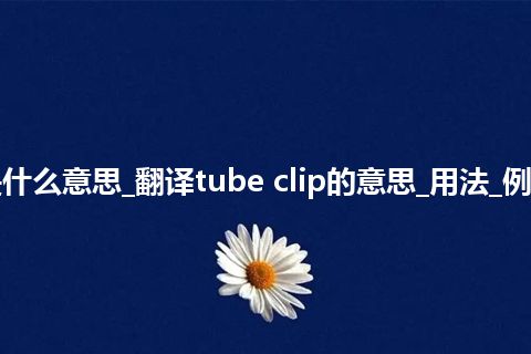 tube clip是什么意思_翻译tube clip的意思_用法_例句_英语短语