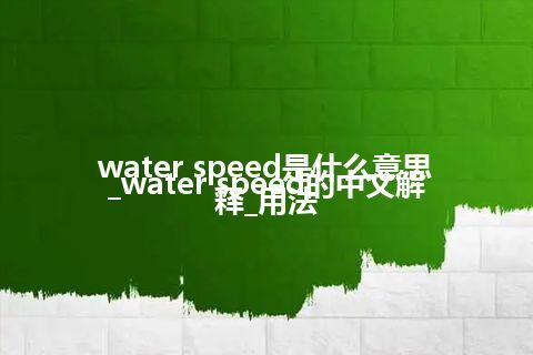 water speed是什么意思_water speed的中文解释_用法