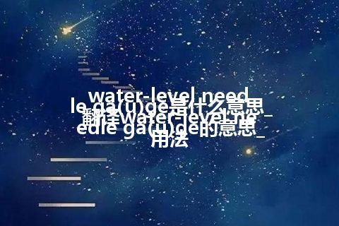 water-level needle ga(u)ge是什么意思_翻译water-level needle ga(u)ge的意思_用法