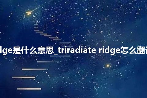 triradiate ridge是什么意思_triradiate ridge怎么翻译及发音_用法