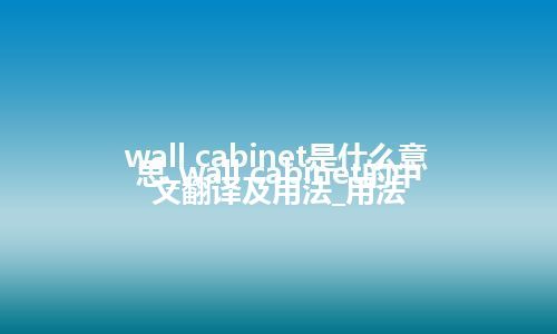 wall cabinet是什么意思_wall cabinet的中文翻译及用法_用法