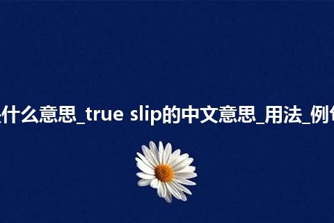 true slip是什么意思_true slip的中文意思_用法_例句_英语短语