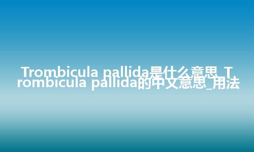 Trombicula pallida是什么意思_Trombicula pallida的中文意思_用法