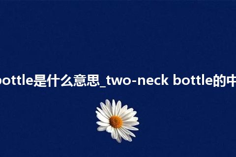 two-neck bottle是什么意思_two-neck bottle的中文意思_用法