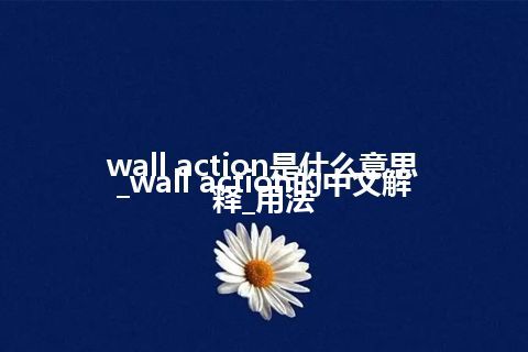 wall action是什么意思_wall action的中文解释_用法
