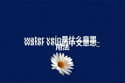 water vein是什么意思_water vein的中文意思_用法