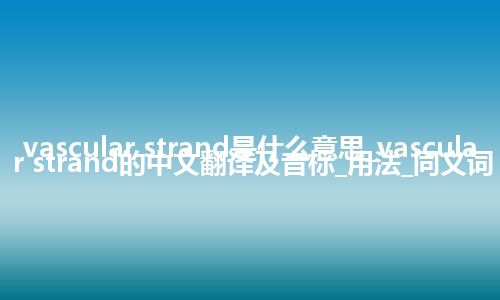 vascular strand是什么意思_vascular strand的中文翻译及音标_用法_同义词