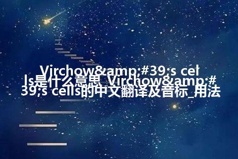 Virchow's cells是什么意思_Virchow's cells的中文翻译及音标_用法