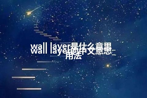 wall layer是什么意思_wall layer的中文意思_用法