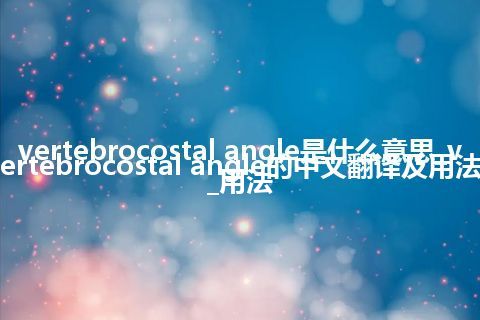 vertebrocostal angle是什么意思_vertebrocostal angle的中文翻译及用法_用法
