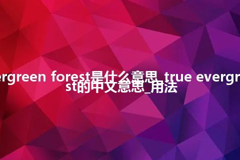 true evergreen forest是什么意思_true evergreen forest的中文意思_用法