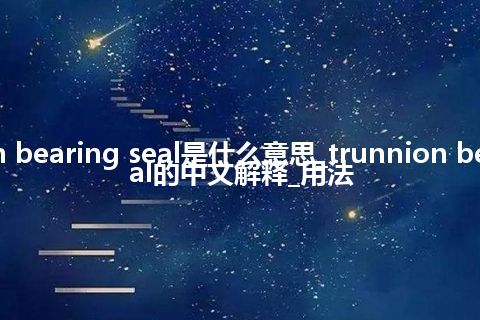 trunnion bearing seal是什么意思_trunnion bearing seal的中文解释_用法