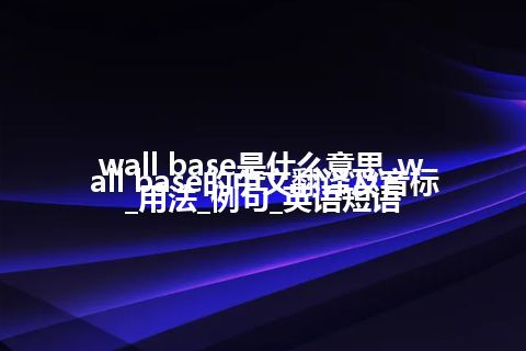 wall base是什么意思_wall base的中文翻译及音标_用法_例句_英语短语