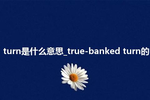 true-banked turn是什么意思_true-banked turn的中文释义_用法