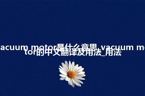vacuum motor是什么意思_vacuum motor的中文翻译及用法_用法