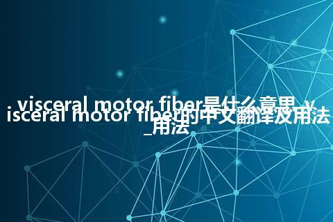 visceral motor fiber是什么意思_visceral motor fiber的中文翻译及用法_用法