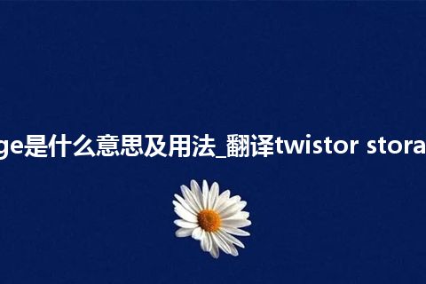 twistor storage是什么意思及用法_翻译twistor storage的意思_用法