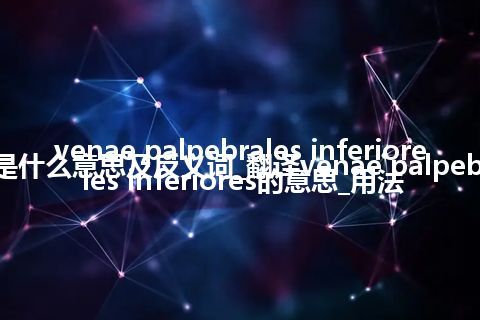 venae palpebrales inferiores是什么意思及反义词_翻译venae palpebrales inferiores的意思_用法