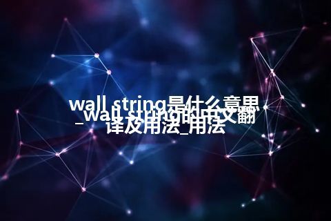 wall string是什么意思_wall string的中文翻译及用法_用法
