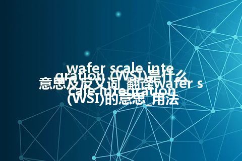 wafer scale integration (WSI)是什么意思及反义词_翻译wafer scale integration (WSI)的意思_用法