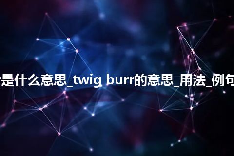 twig burr是什么意思_twig burr的意思_用法_例句_英语短语