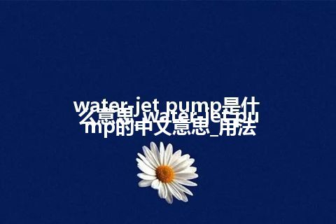 water-jet pump是什么意思_water-jet pump的中文意思_用法