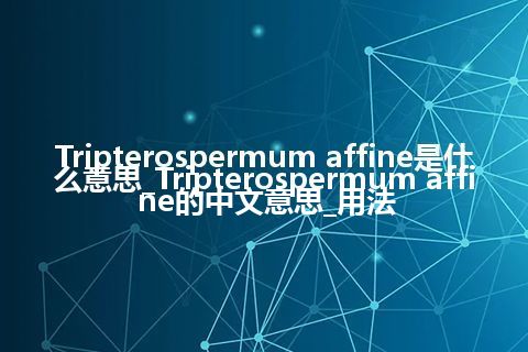 Tripterospermum affine是什么意思_Tripterospermum affine的中文意思_用法