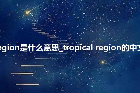 tropical region是什么意思_tropical region的中文释义_用法