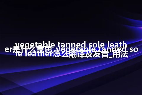vegetable tanned sole leather是什么意思_vegetable tanned sole leather怎么翻译及发音_用法