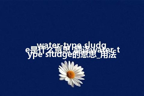 water-type sludge是什么意思_翻译water-type sludge的意思_用法