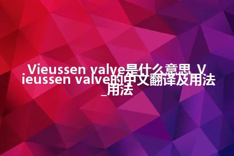 Vieussen valve是什么意思_Vieussen valve的中文翻译及用法_用法