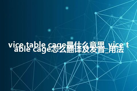 vice table cage是什么意思_vice table cage怎么翻译及发音_用法