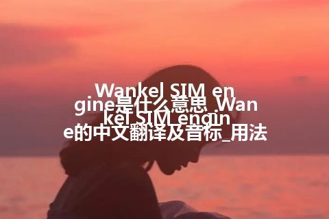 Wankel SIM engine是什么意思_Wankel SIM engine的中文翻译及音标_用法