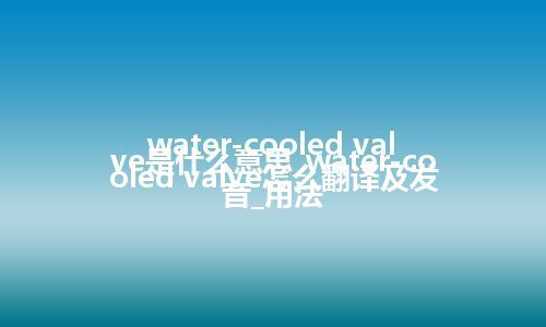 water-cooled valve是什么意思_water-cooled valve怎么翻译及发音_用法
