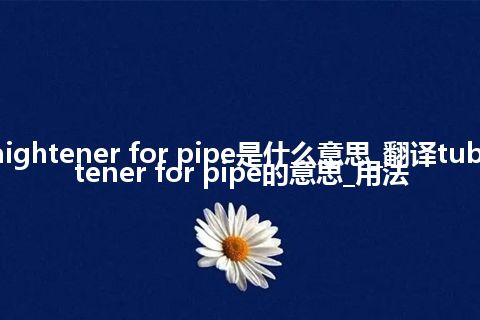 tube straightener for pipe是什么意思_翻译tube straightener for pipe的意思_用法