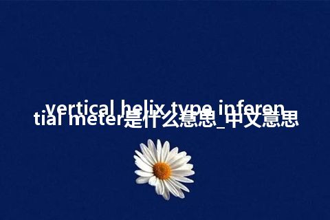 vertical helix type inferential meter是什么意思_中文意思